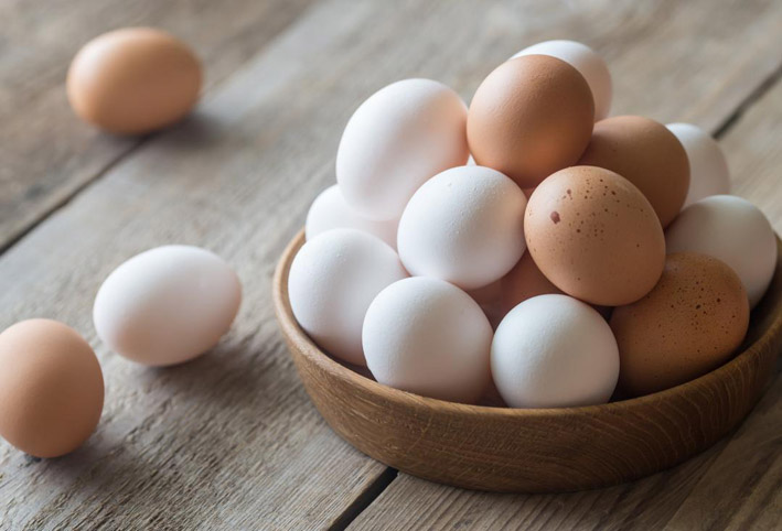 علماء يطورون دجاج معدل وراثياً لوضع بيض يحتوى على أدوية سرطان