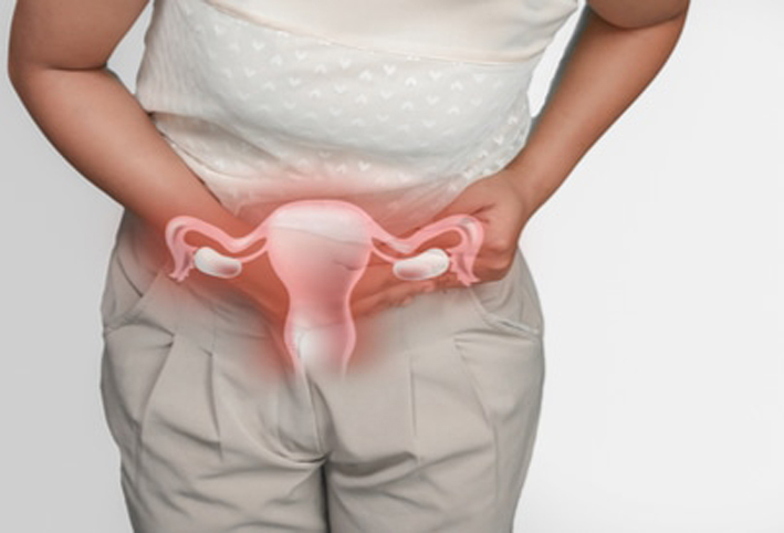 ما هى وظيفة الكيس الأمنيوسى الحامل للجنين داخل الرحم؟
