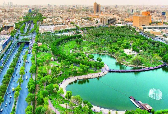 لماذا يعيش سكان المدن الخضراء عمر أطول؟