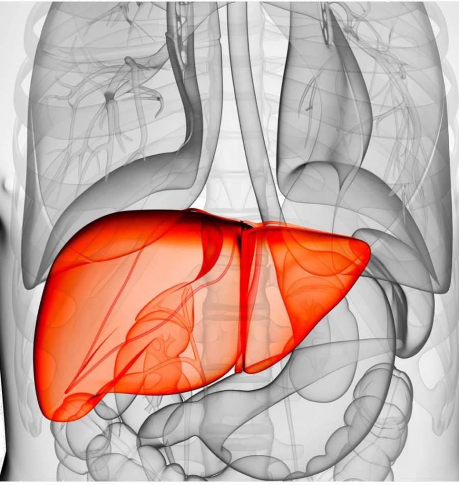 ما هي الأمراض التي تتنتقل عن طريق الجنس الفموي بالنسبة للمراة التي تفعل ذلك للرجل مع العلم ان زوجي قام بعمل تحاليل ( صورة دم كاملة و وظائف كبد ) و كلها سليمة ؟