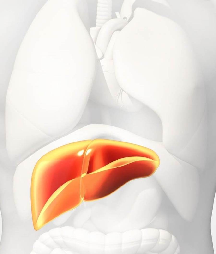 لدي التهاب كبد فيروسي من نوع «سي»، ما الطعام الصحي لي؟