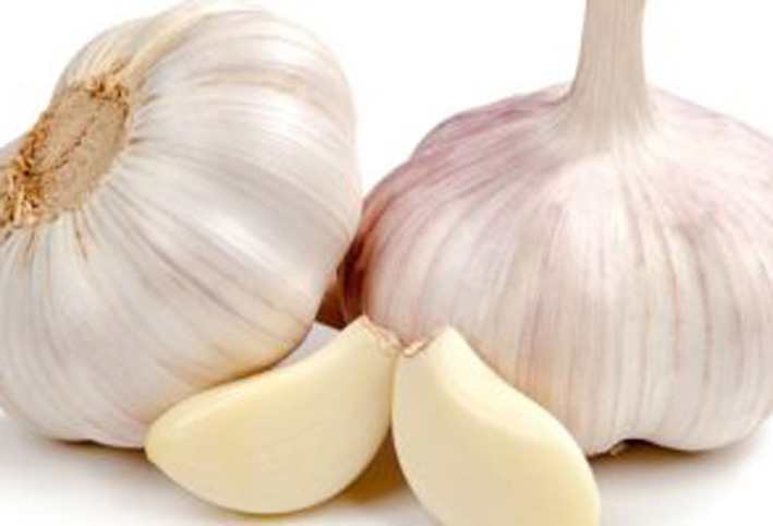 الثوم علاج لفيروس كورونا