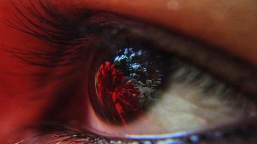 دراسة تكشف الاشارات التى ترسلها العين إلى الدماغ