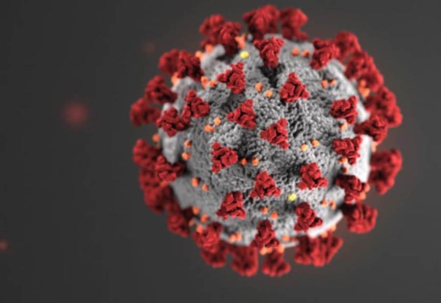 "كورونا" تطيح بوزيري صحة خلال شهر .. إليكِ التفاصيل