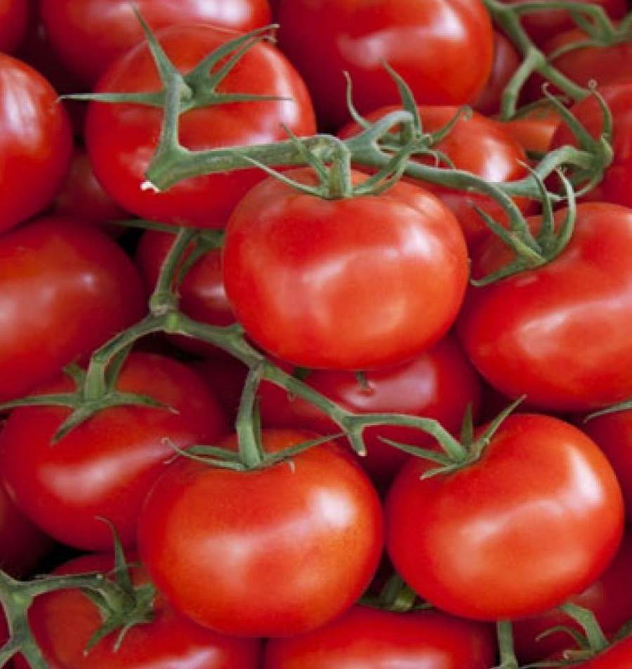 تناولي الطماطم لحماية بشرتك من أضرار أشعة الشمس