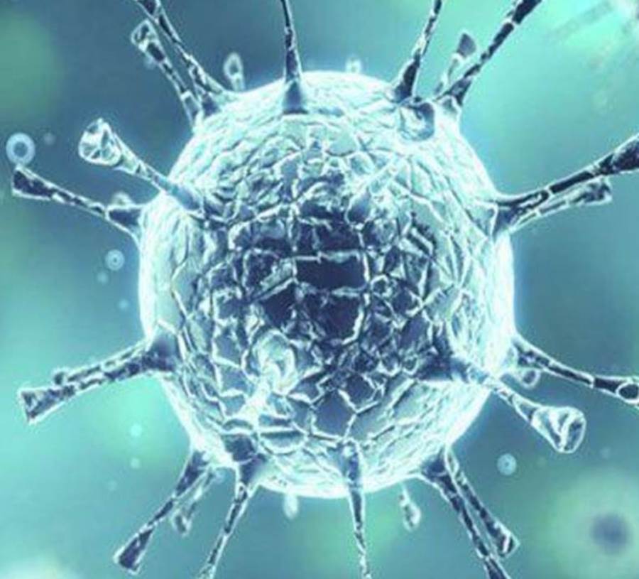 بلازما المتعافين علاج آمن للمرض..!