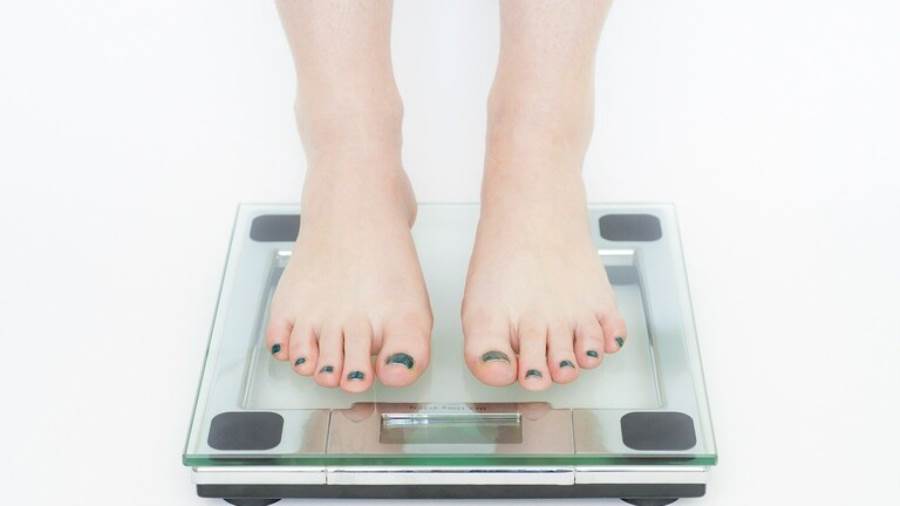 فقدان الوزن