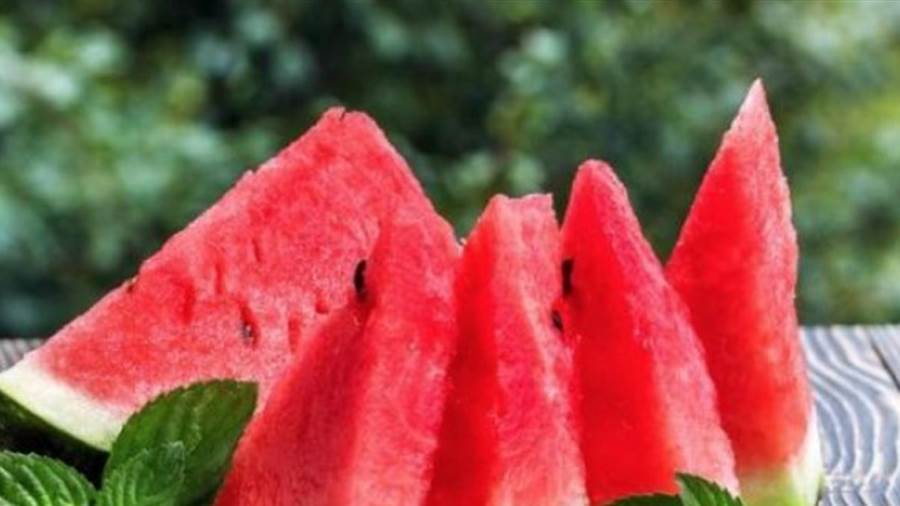 البطيخ الأحمر