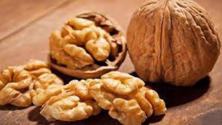 الفوائد الصحية للجوز