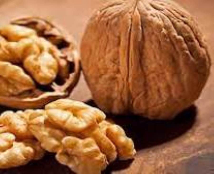 أسباب تدفعك لتناول الجوز يوميًا 