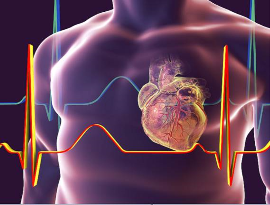 فيروس كورونا قد يسبب نفس الضرر الذي تحدثه النوبات القلبية