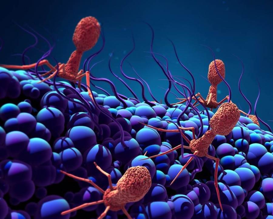 هل يمكن للفيروسات أن تختبئ في أجسامنا؟