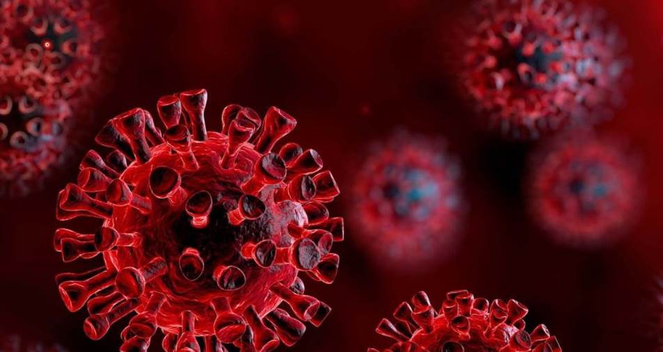 ما الذي يحتاج مرضى القلب معرفته حول فيروس كورونا COVID-19؟