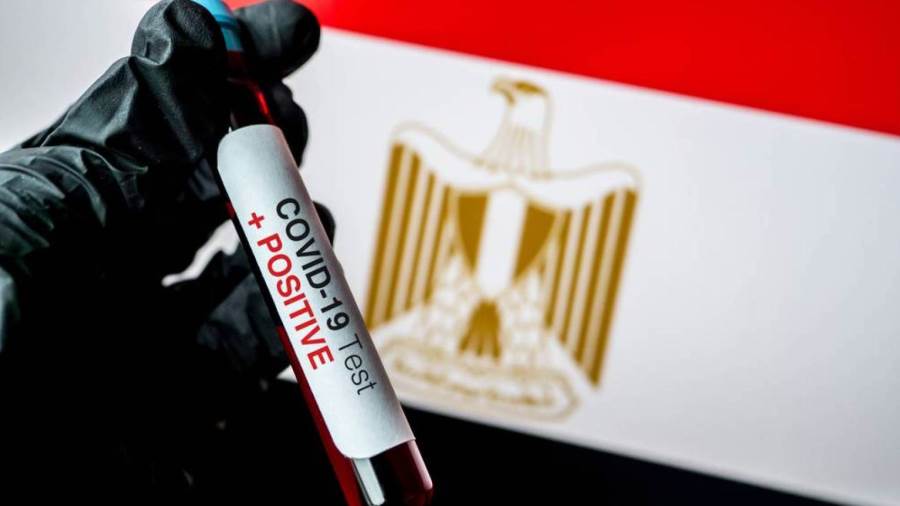 فيروس كورونا في مصر