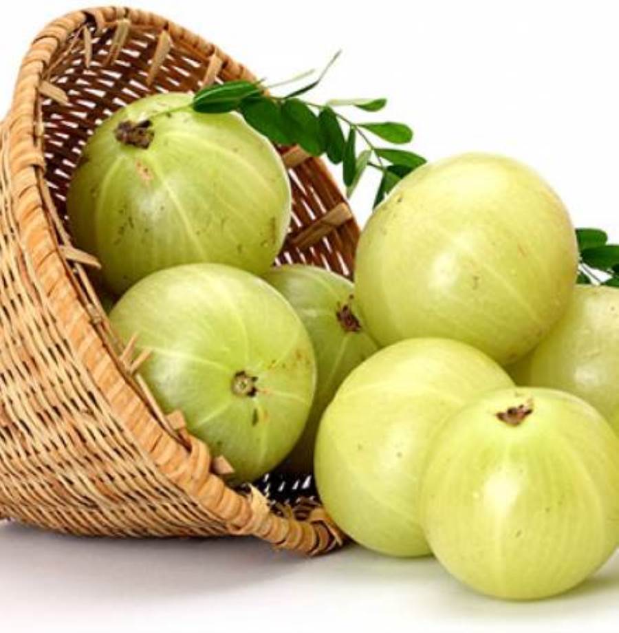 تعرفي على الفوائد الهائلة لتناول فاكهة الأملا خلال الحمل