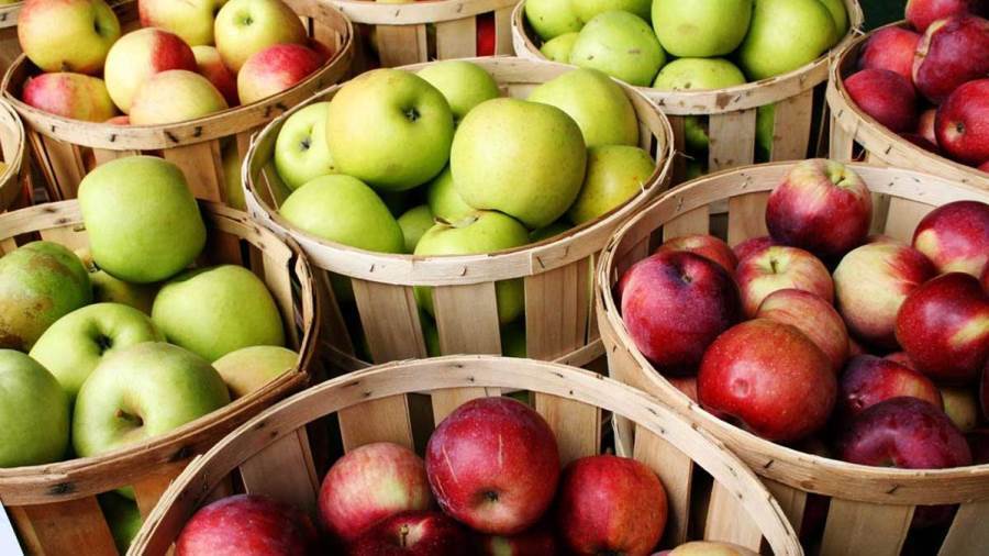 أطعمة تساعدك على الشبع