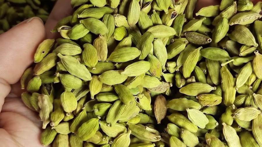 الحبهان وفوائده على البشرة