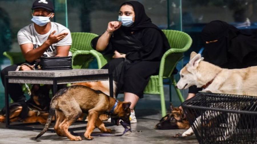 مقهى لعشاق الكلاب بالسعودية