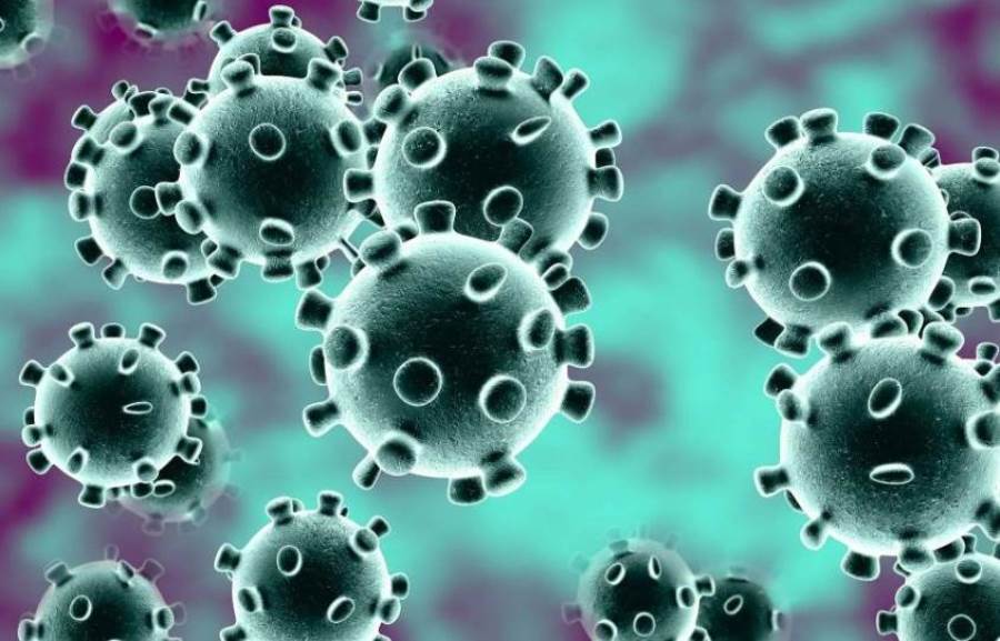 باحثون استراليون يكشفون بقاء فيروس كورونا حيا 28 يوما على الزجاح .. إليكِ التفاصيل