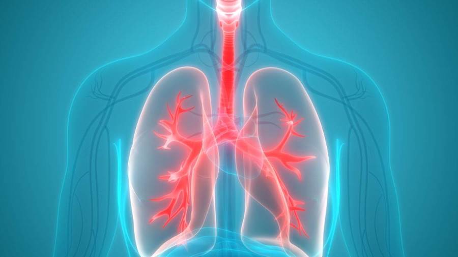 طرق بسيطة للحفاظ على الرئتين