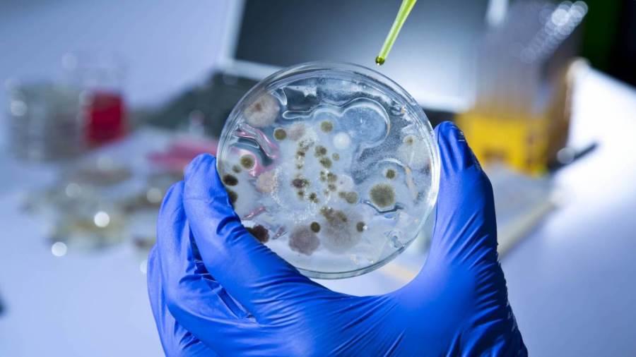 إدارة الدواء الأمريكية FDA توافق على أول علاج لفيروس الإيبولا