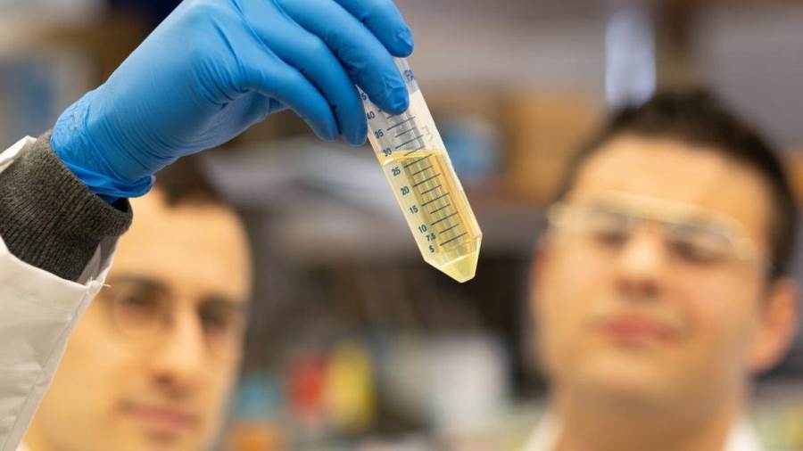 بلازما النقاهة لا تقلل من فرص الإصابة بمضاعفات كورونا