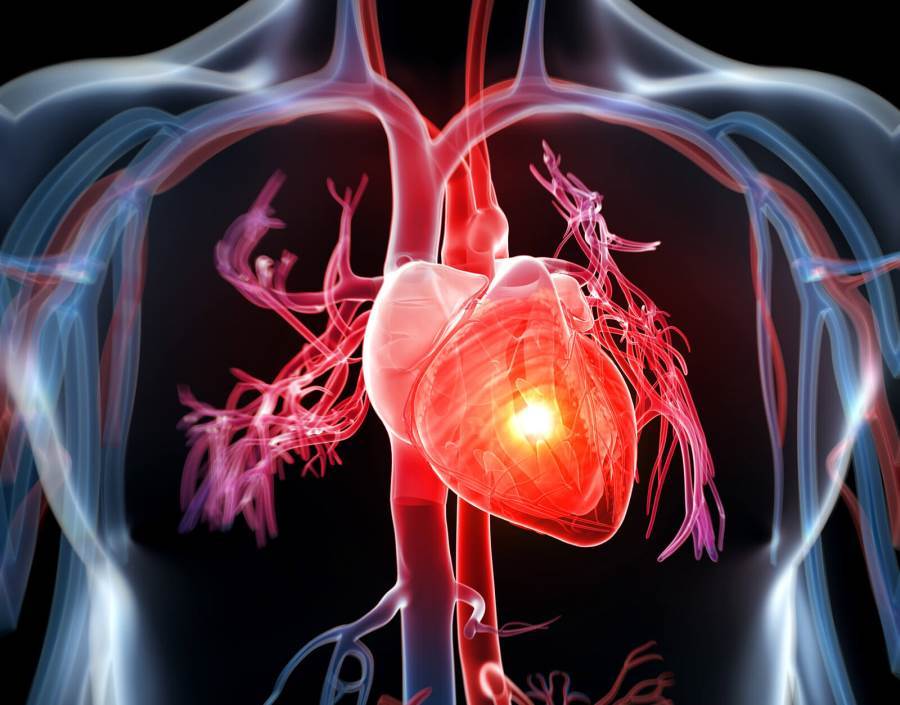 أنتبه .. أغلب وفيات أمراض القلب بسبب انخفاض الوعي
