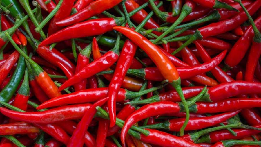 احتواء الطعام علىالشطه يطيل العمر