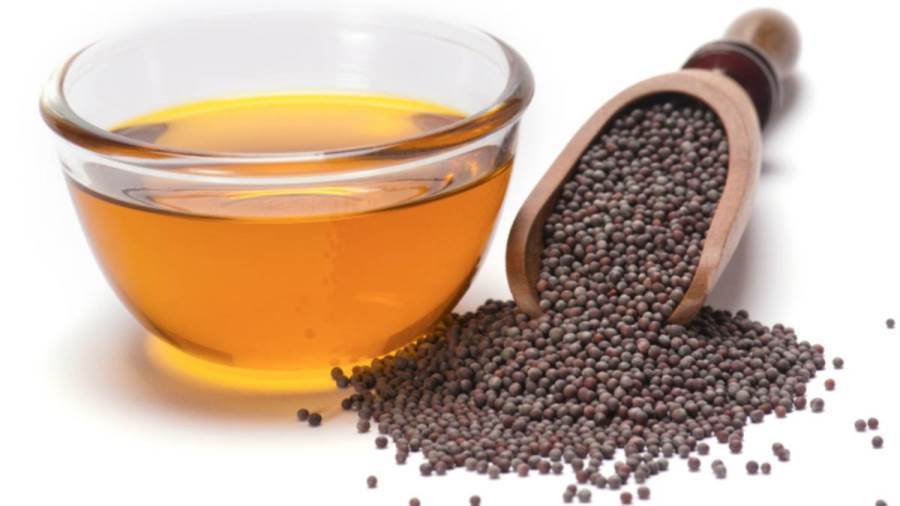 فوائد زيت الخردل المعصور على البارد