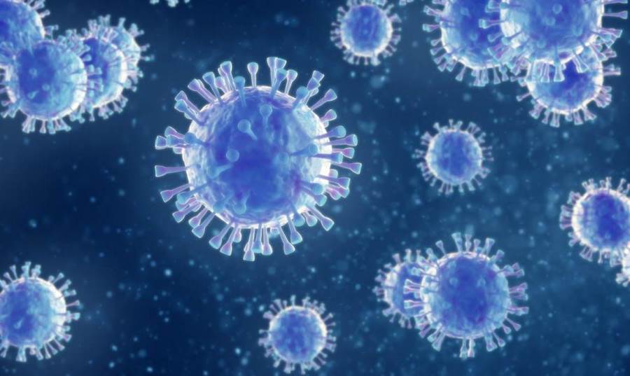 فيروس كورونا الحاد ينتج أجسام مضادة ومناعة على المدى الطويل .. إليكِ التفاصيل