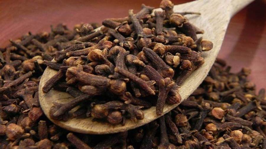 القرنفل