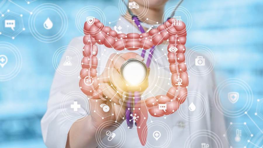 الأمعاء البشرية