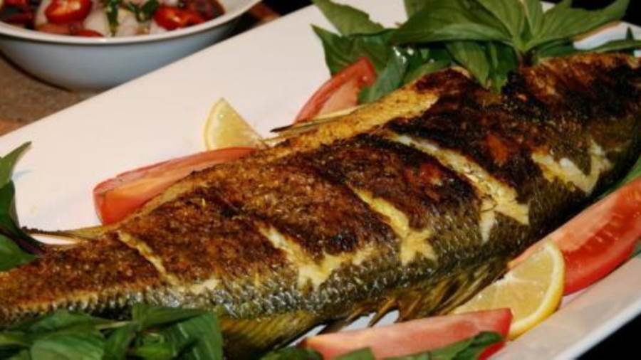 سمك شعور مشوي