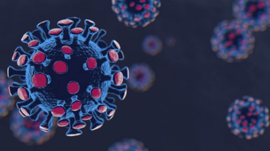 سلالات كورونا