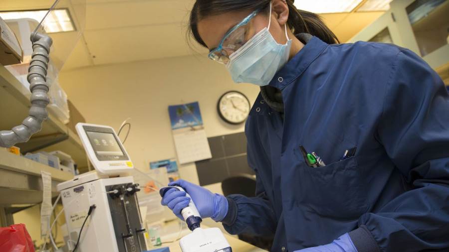 فيروس كورونا