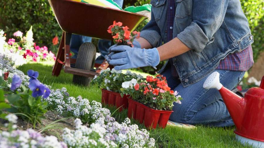 حديقتك الخاصة