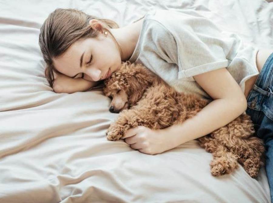5 أسباب هامة للسماح لكلبك مشاركتك سريرك 