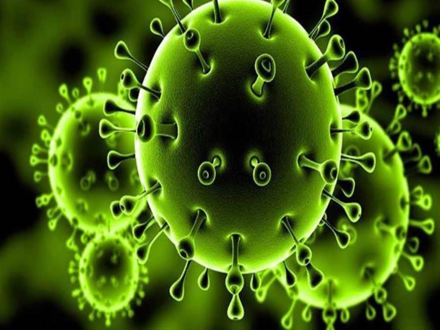 دراسة تكشف الكائنات الدقيقة والفيروسات في مترو الأنفاق