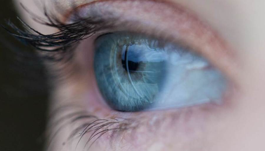 هل تكشف العيون معدل ذكاء الشخص؟