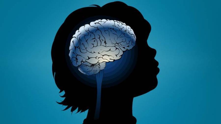 علماء بجامعة ميريلاند يكتشفون الجين المرتبط باضطراب النمو والإعاقة الذهنية