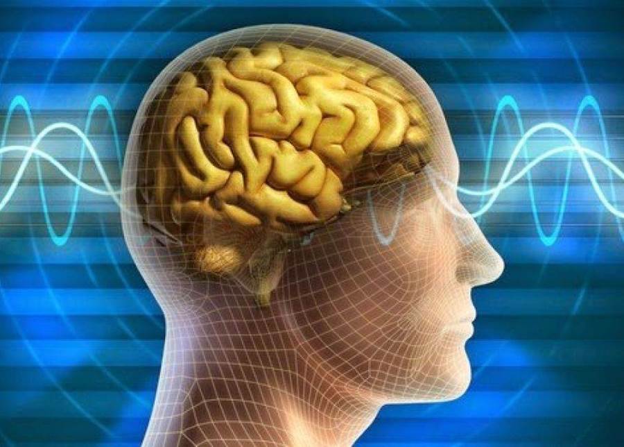 4 نصائح لتحسين وظيفة الذاكرة .. جربيها