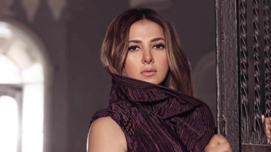 دنيا سمير غانم