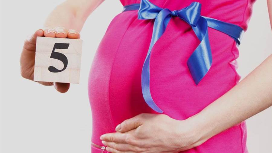 الشهر الخامس من الحمل