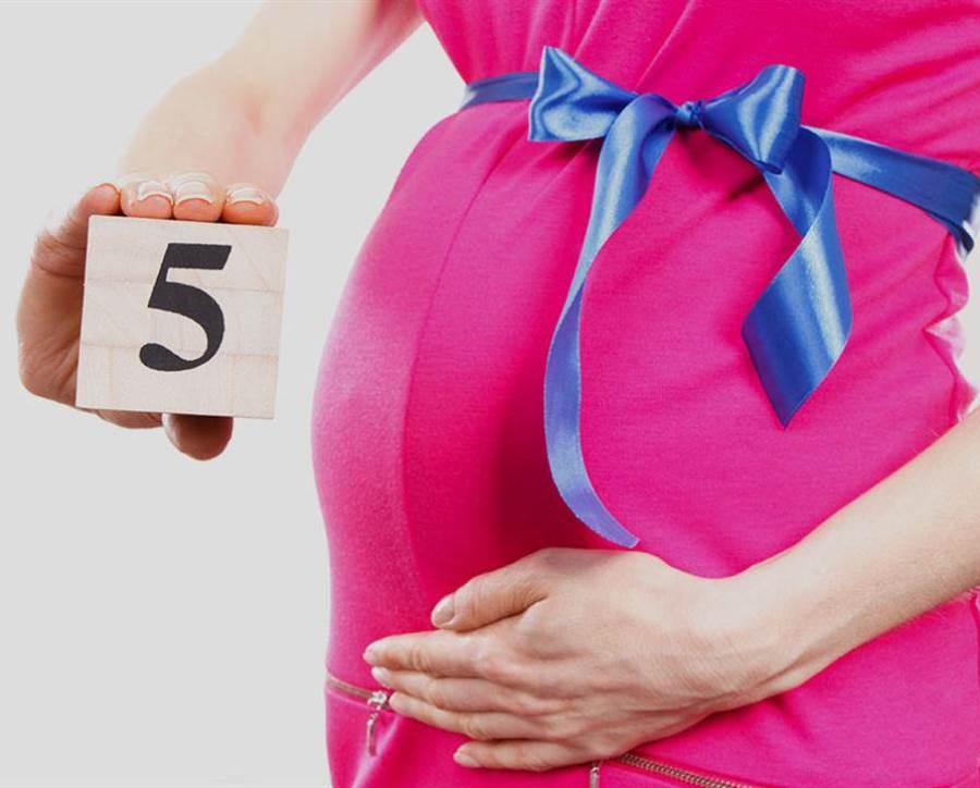 تطورات الجنين في الشهر الخامس من الحمل