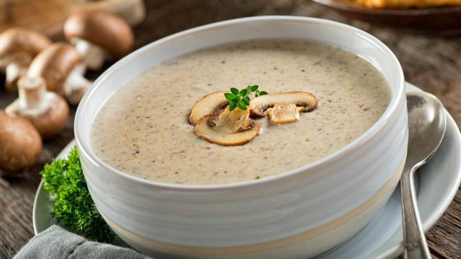 شوربة الفطر