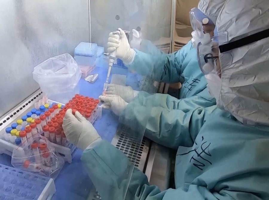 دراسة: اكتشاف أجسام مضادة تقضي على سلالات فيروس كورونا