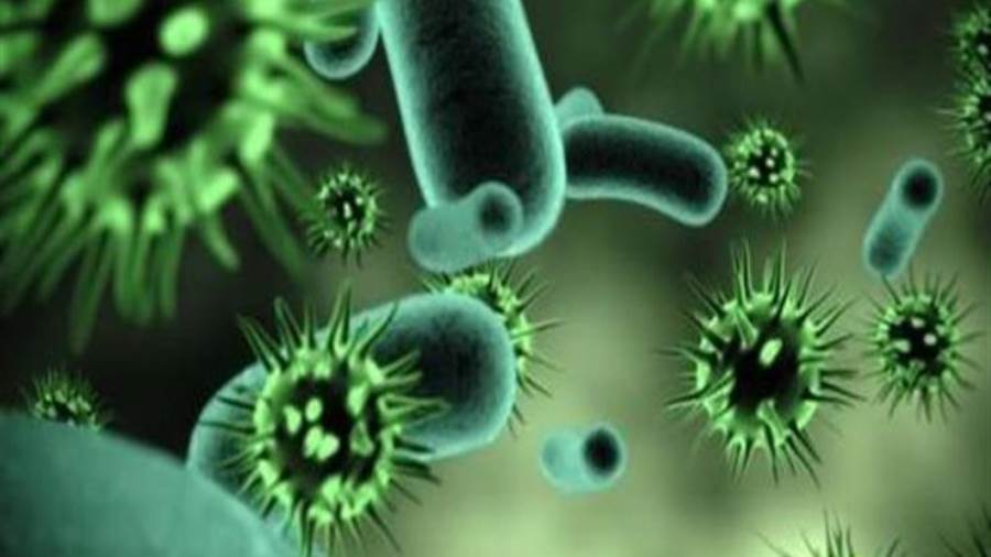 سلالات كورونا الجديدة