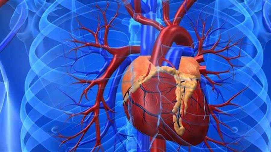 كورونا والقلب