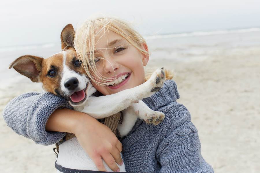كيف تفيد تربية الكلاب صحة القلب؟ دراسة توضح