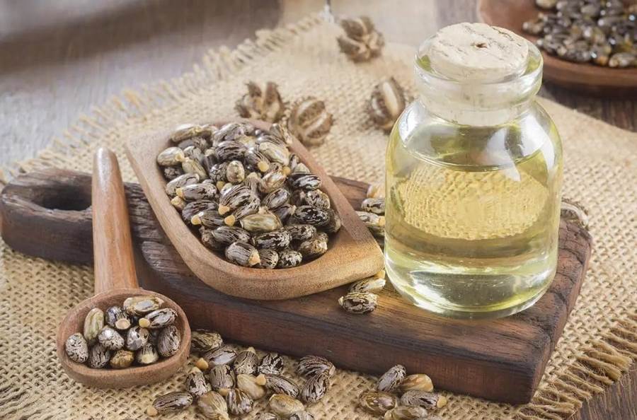 زيت الخروع.. تركيبة فريدة منذ القِدم لعناية دائمة بالبشرة